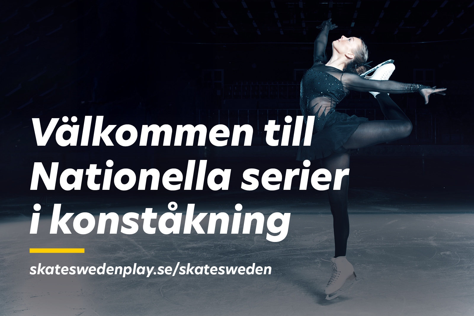 Aktivitetsbild